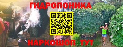 прущие крисы Азнакаево