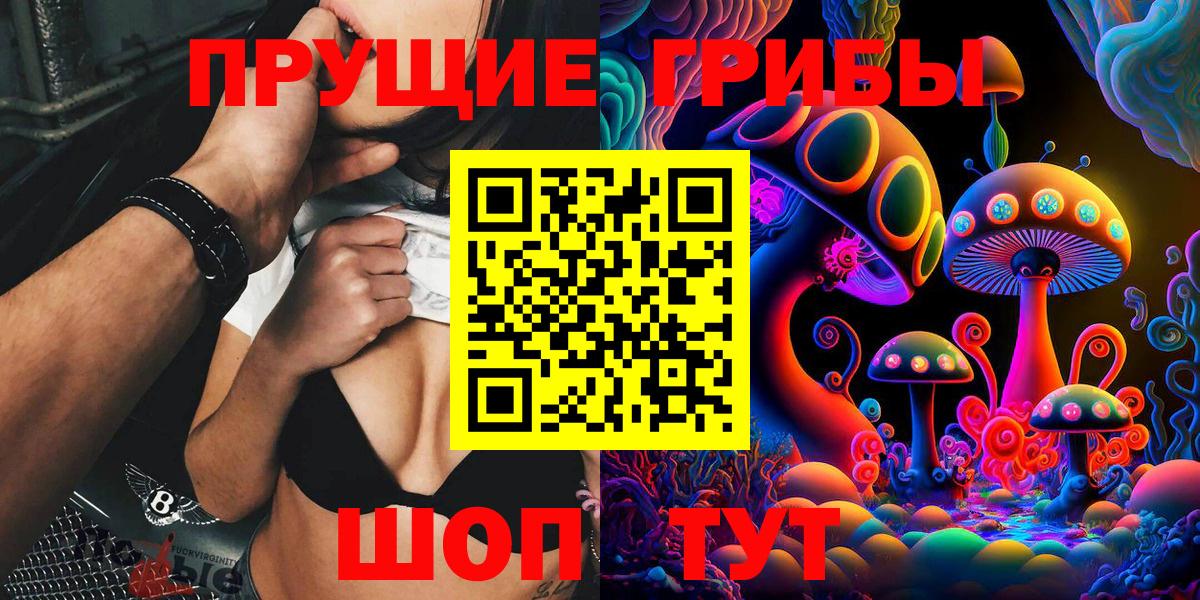 Псилоцибиновые грибы Psilocybe Алексин
