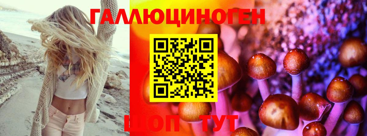 Алексин  Псилоцибиновые грибы Psilocybe  Вход с VPN 